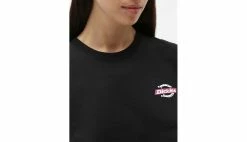 Dickies S/S Ruston W Tee Black Black -shooos shop dk0a4xdd4