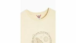 The North Face W Galahm Graphic T-shirt Light Brown -shooos shop nf0a7r293x4 0