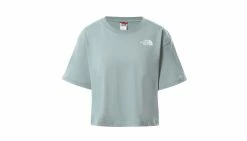 The North Face W Cropped Sd Tee Grey